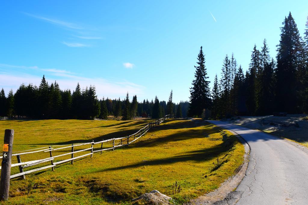 Chalet Pokljuka Горельек Экстерьер фото