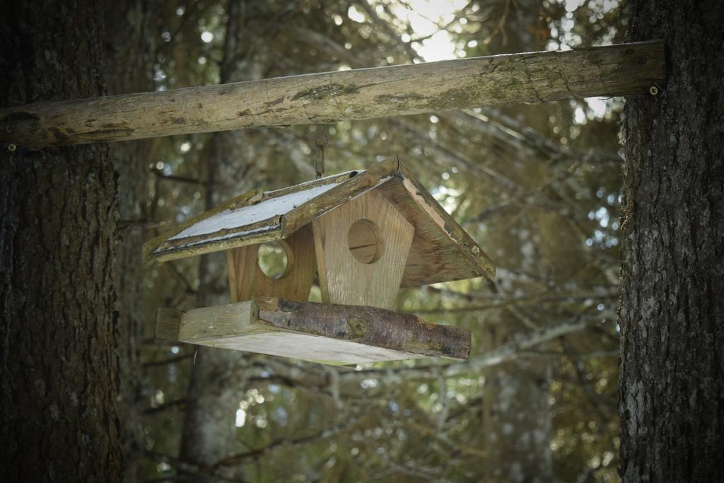 Chalet Pokljuka Горельек Экстерьер фото